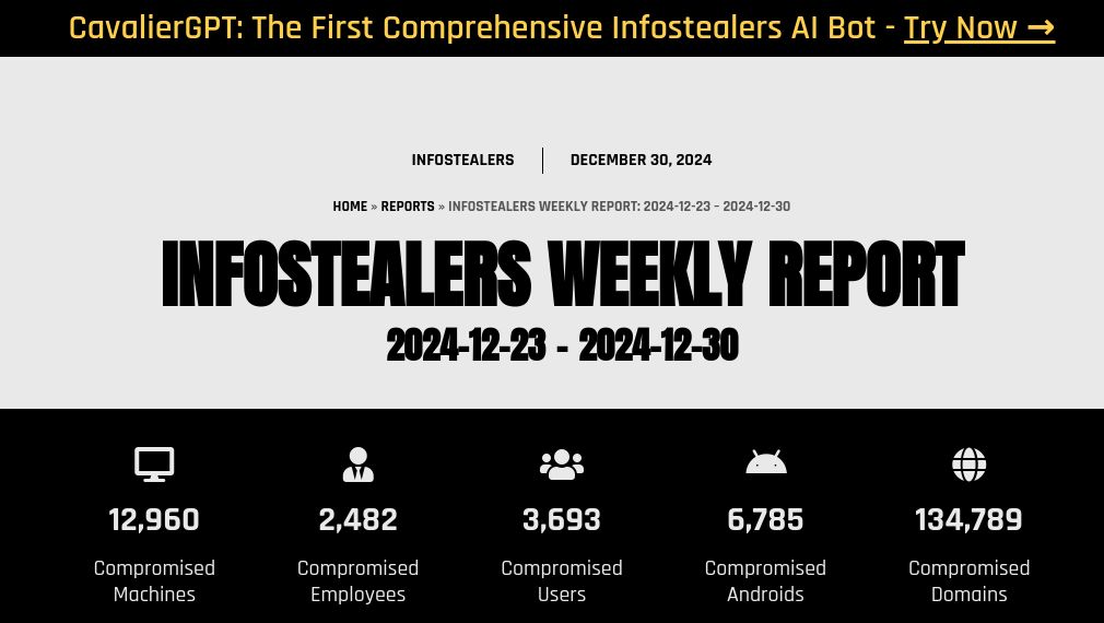 Infostealers Weekly Report: 2024-12-23 – 2024-12-30