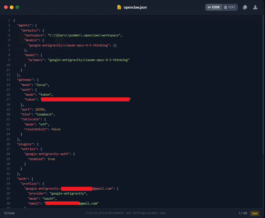Retrieved openclaw.json file
